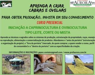 Curso iniciação a caprinocultura e ovinocultura tipo leite, corte ou mista