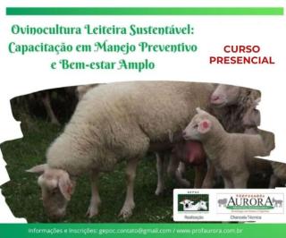 curso ovinocultura sustentável