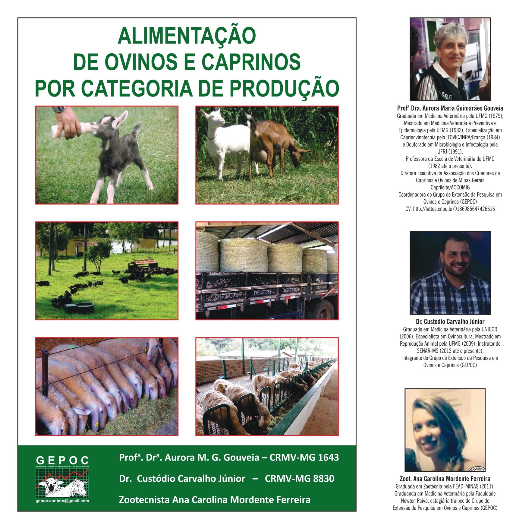 Caderno Técnico Alimentação de Ovinos e Caprinos por Categoria de Produção Caderno Técnico Alimentação de Ovinos e Caprinos por Categoria de Produção