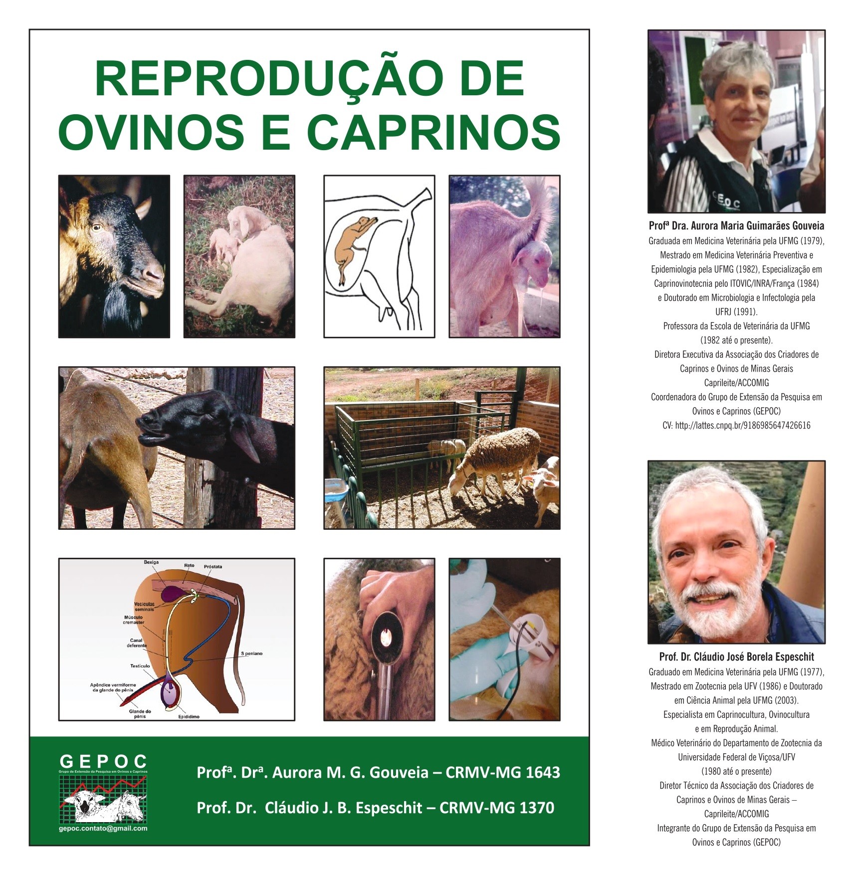 Caderno Técnico Reprodução de Ovinos e Caprinos Caderno Técnico Reprodução de Ovinos e Caprinos
