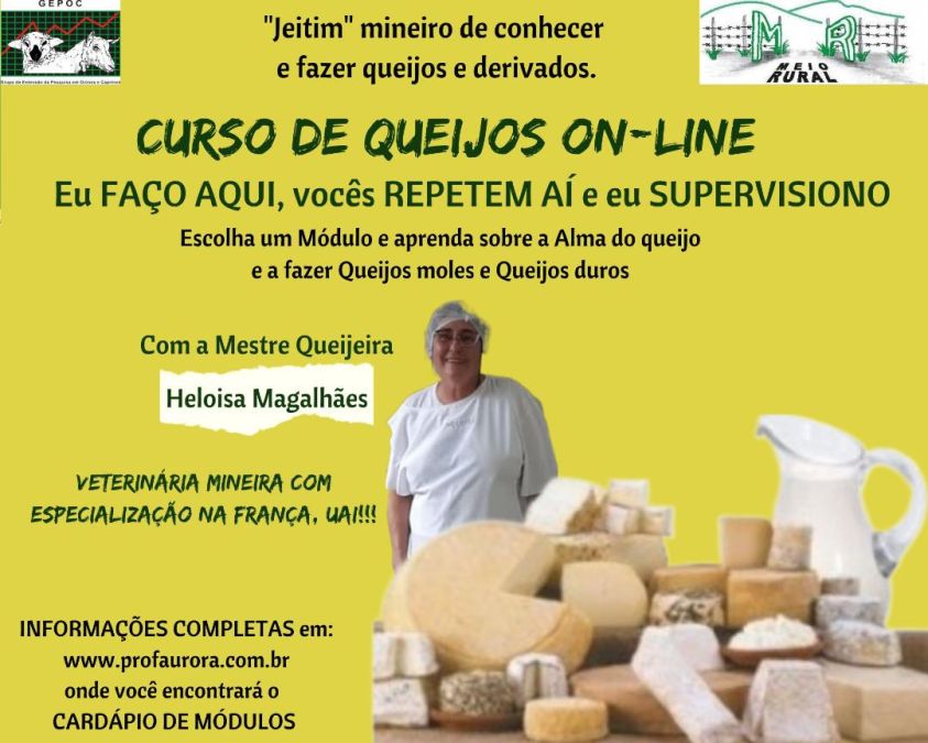 Mentoria On-line Eu FAÇO AQUI, vocês REPETEM AÍ e eu SUPERVISIONO Mentoria On-line Eu FAÇO AQUI, vocês REPETEM AÍ e eu SUPERVISIONO