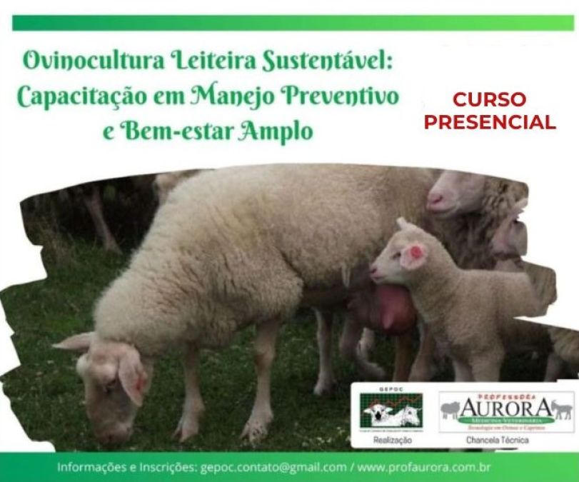 Próxima Turma do Curso de Ovinocultura Leiteira Sustentável Próxima Turma do Curso de Ovinocultura Leiteira Sustentável